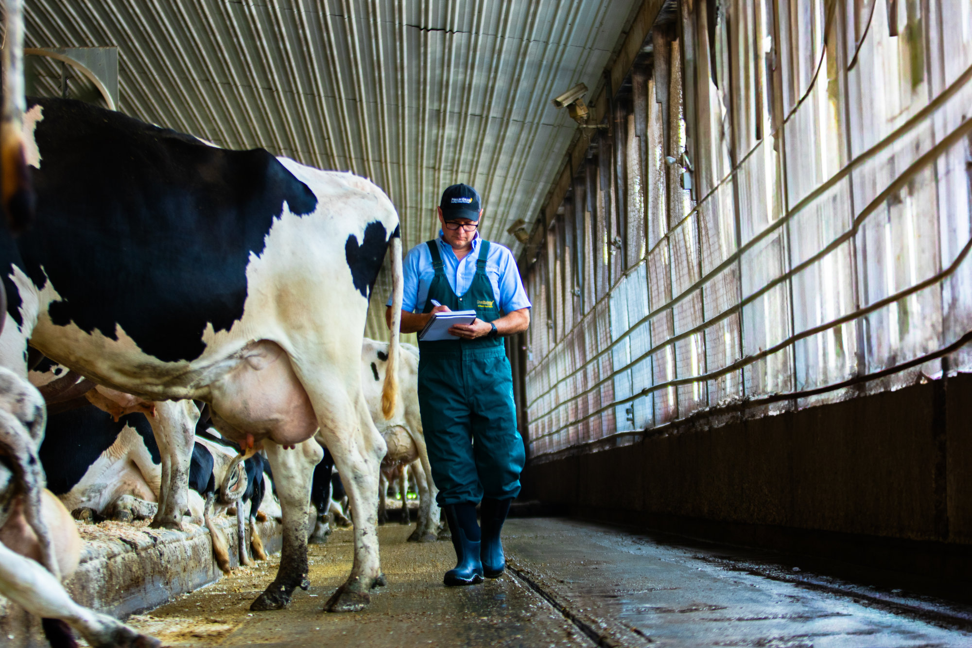 Calf & Animal Welfare Specialists