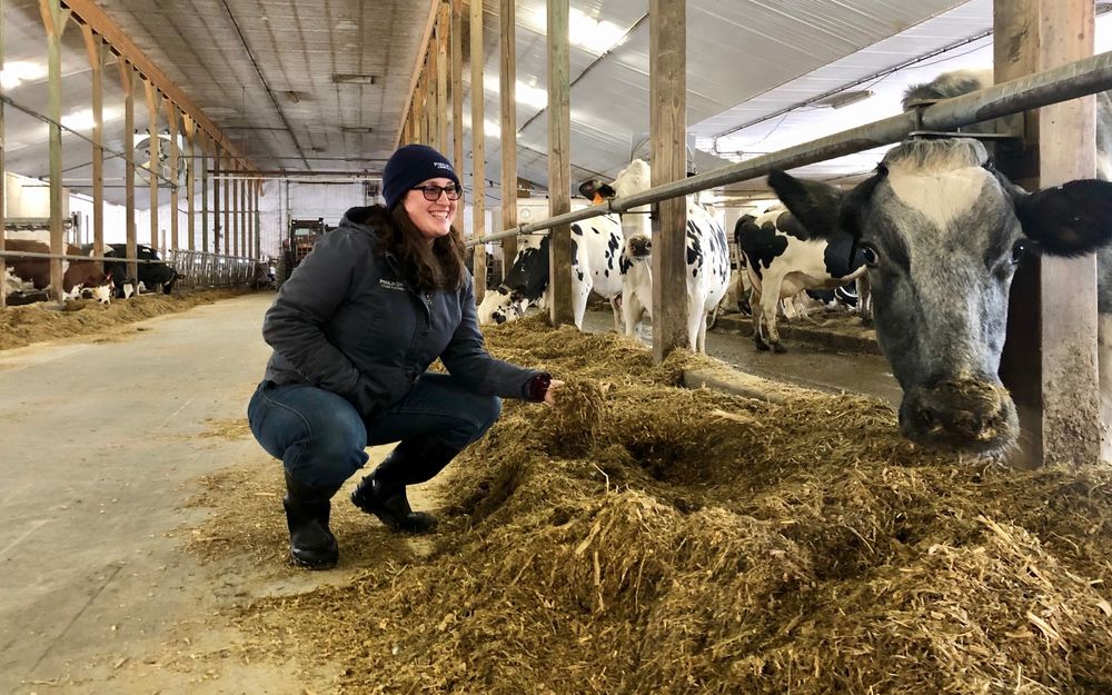 a-day-in-the-life-of-a-dairy-cattle-nutritionist