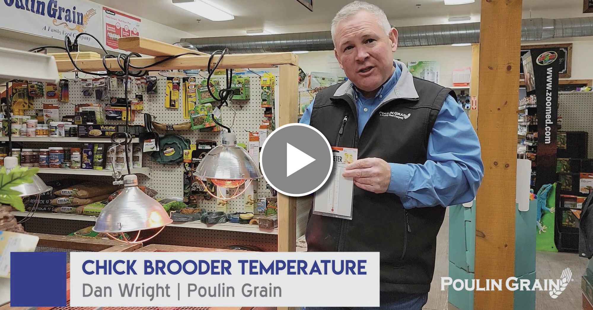 Adjusting Chick Brooder Temperature