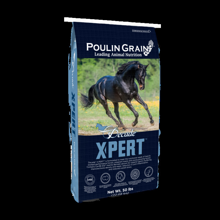 Decade® X-PERT™ Super Bites (Previously Challenger - Super Bites) bag image