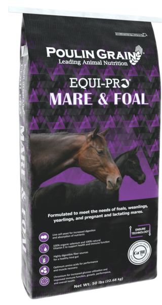 EQUI-PRO® Mare & Foal bag image