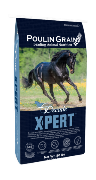 Decade® X-PERT (Previously Challenger) bag image