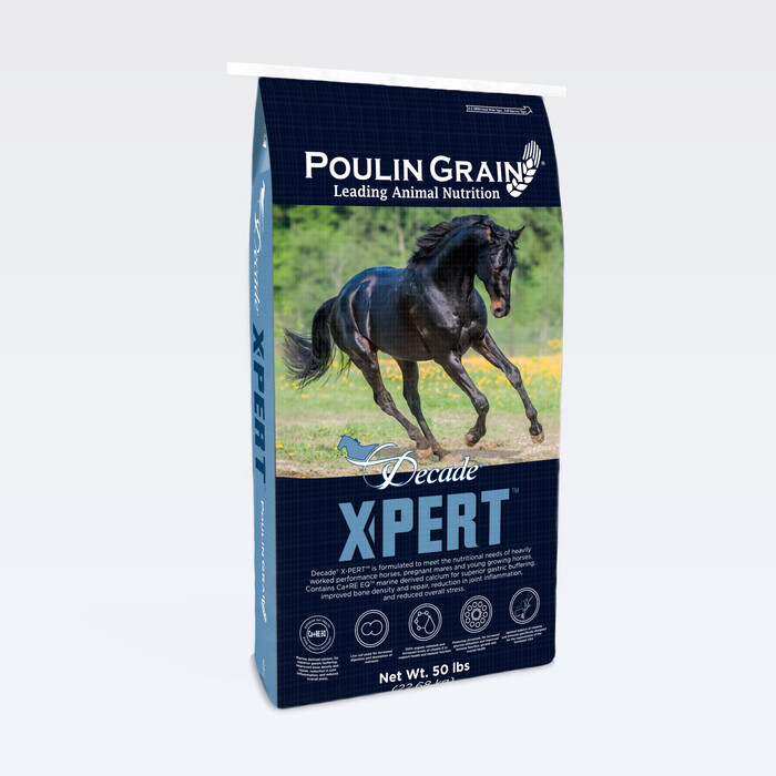 Decade® X-PERT (Previously Challenger) bag image