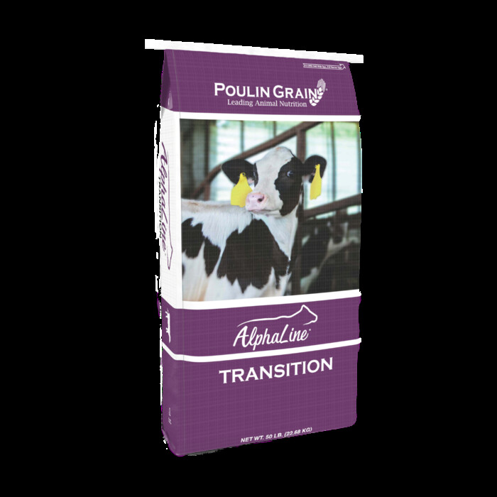 *NEW* AlphaLine® Transition Heifer Pellet bag image