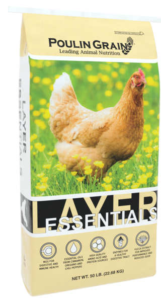 Layer Crumble Essentials  bag image