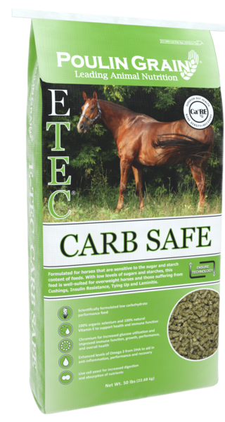 E-TEC® Carb Safe bag image