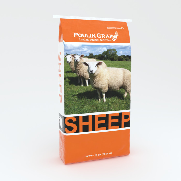 Sheep Complete Pellet bag image