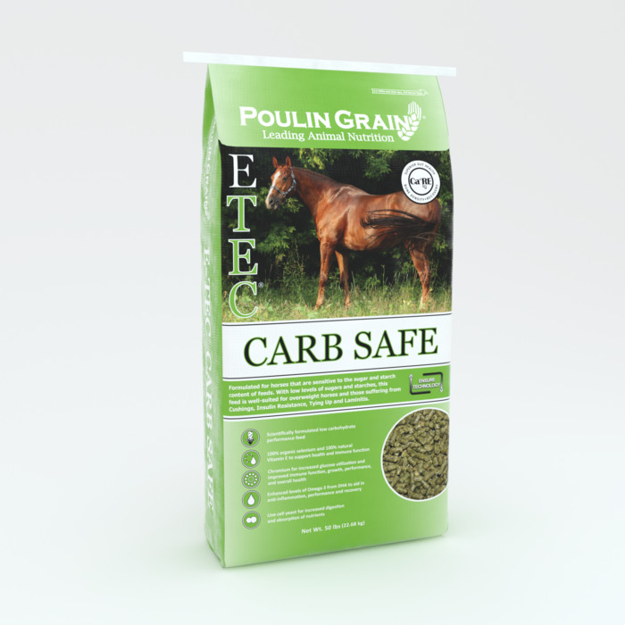 E-TEC® Carb Safe bag image