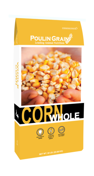 Whole Corn bag image