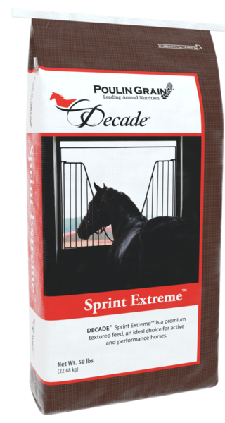 Decade® Sprint Extreme bag image