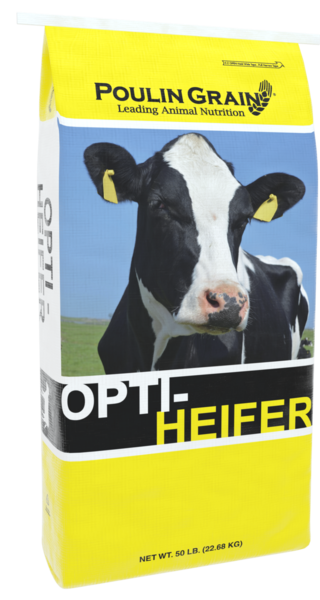 *NEW* AlphaLine® Transition Heifer Pellet bag image