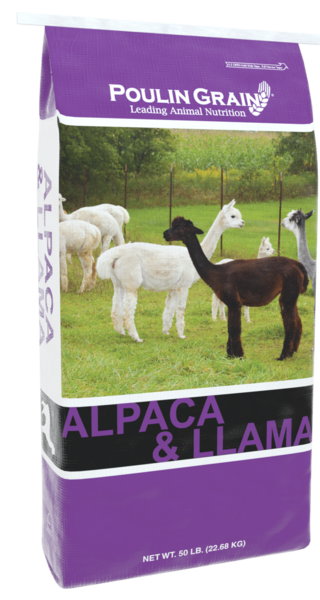 Northeast Alpaca & Llama Maintenance bag image
