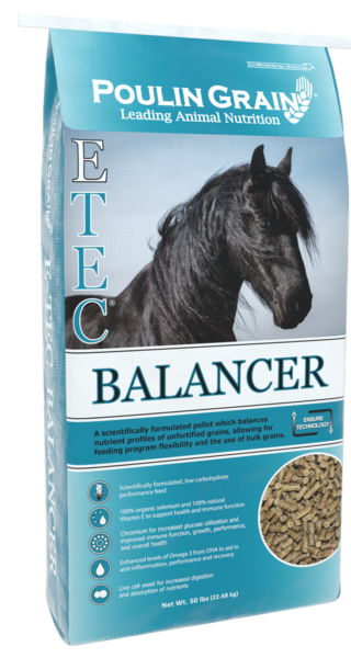 E-TEC Balancer® bag image