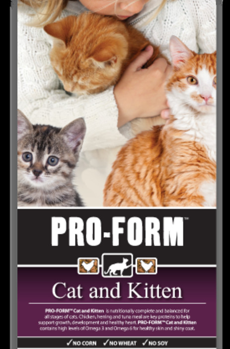 PRO-FORM® Cat and Kitten bag image